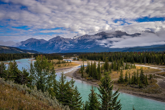 What Are The Rules And Regulations For Practicing Cremation In Canada?