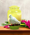 classic Dove Urn for ashes, with personalization option.