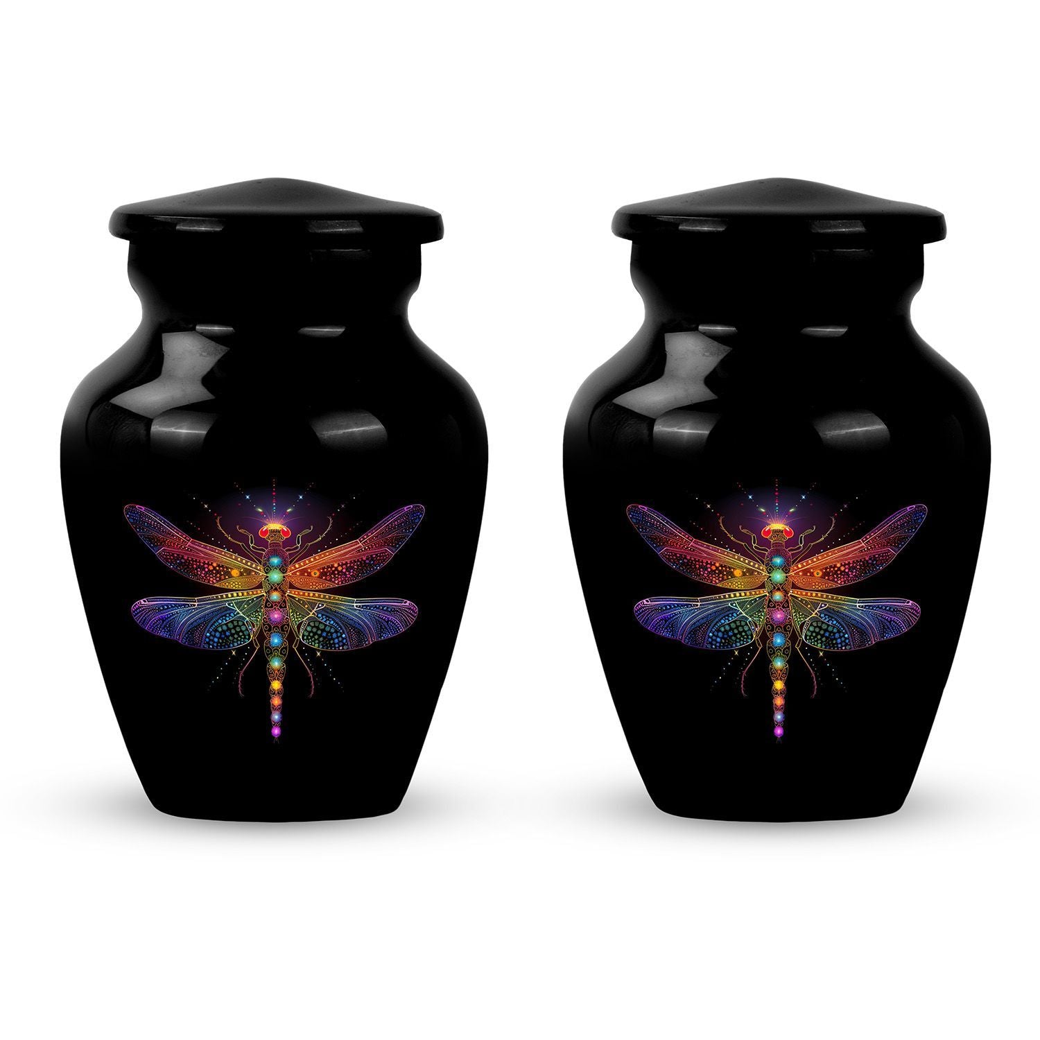 Cosmic dragonfly urn