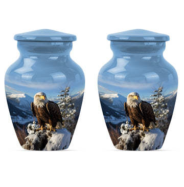 Small Urn Set of 2