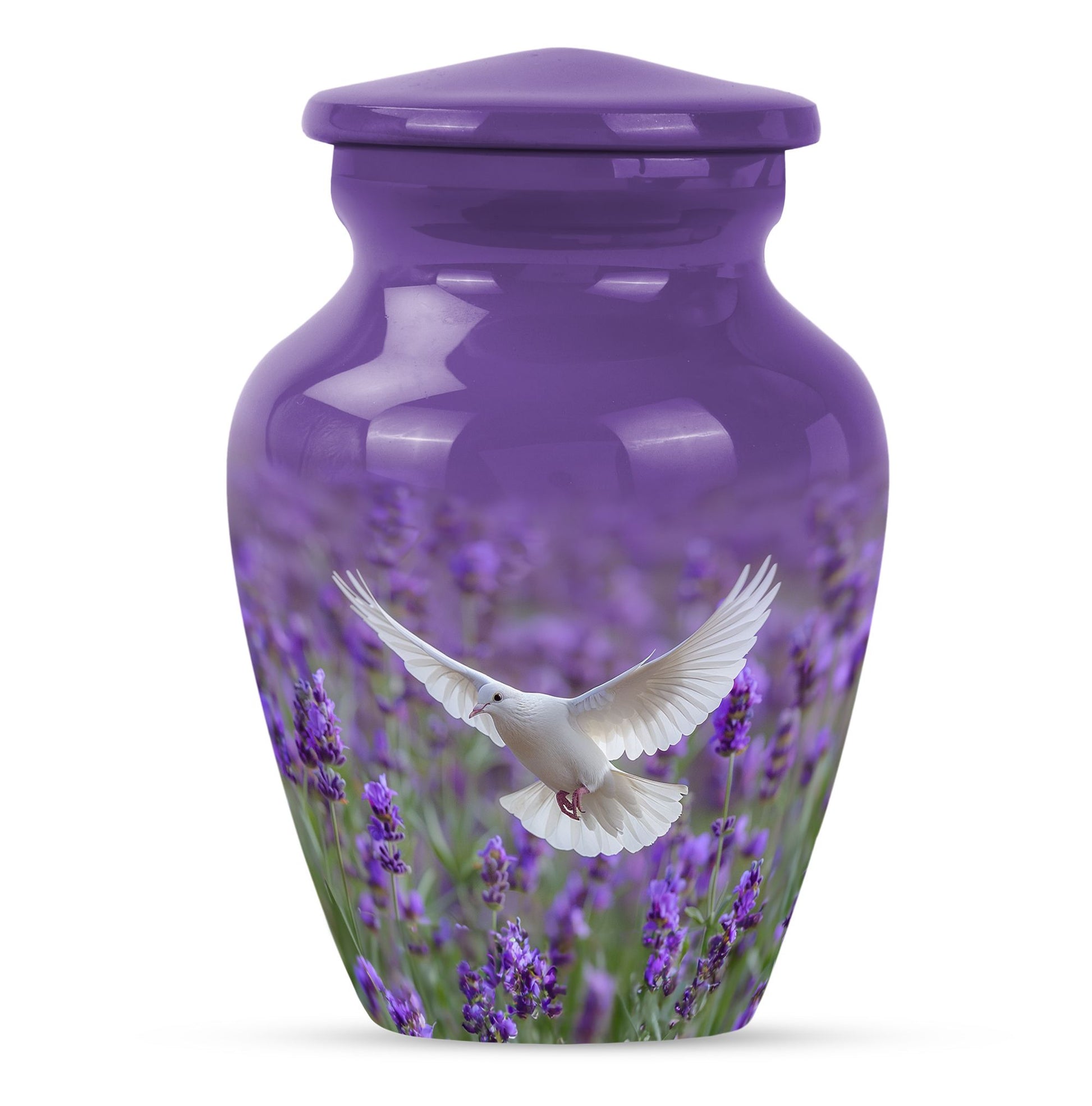 White dove on a classic purple urn.