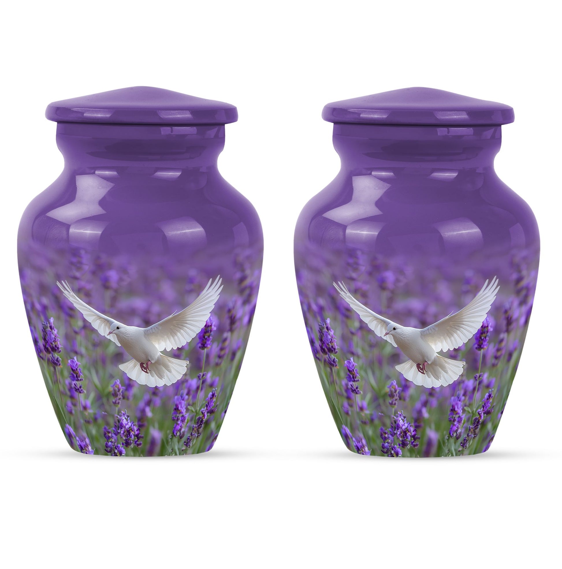 White dove on a classic purple urn.