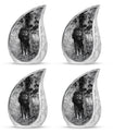 Lion Theme 3 Inch Keepsake Pack of 4