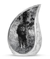 Lion Theme 3 Inch Keepsake