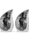 Lion Theme 3 Inch Keepsake Pack of 2